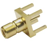 Telegärtner 100024844 100024844 Connecteur SMB embase mâle verticale 50 Ω 1 pc(s)