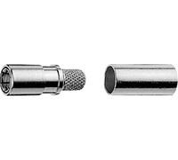 Telegärtner 100024872 100024872 Connecteur SMB femelle, droit 50 Ω 1 pc(s)