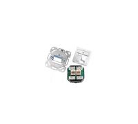 Telegärtner AMJ45 - Prise - CAT 6e - RJ-45 X 2
