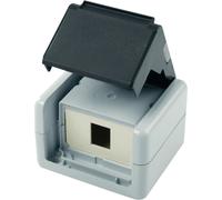 TELEGÄRTNER Boîtier AP IP44,75x86x58,gris, avec insert Mont pour 1xAMJ-module