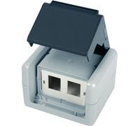 TELEGÄRTNER Boîtier AP IP44,75x86x58, gris, avec insert Mont pour 2xAMJ-Modul