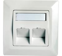 TELEGÄRTNER Boîtier d'encastrement pour module, double, blanc pur