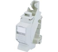 Module AMJ-S CAT 6a T568B Telegärtner 100023004 RJ45 Boîtier femelle RJ45 gris 1 pc(s)