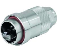 Telegärtner J60026A0000 Connecteur de fil TOC plug acier (J60026A0000)