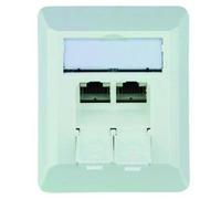 Telegärtner Prise réseau en saillie 100023002 CAT 6a 2 ports blanc-alpin