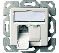 TELEGÄRTNER Prise AMJ45 UP/50 2x RJ-45 Cat.6A (Class EA), blanc alpin