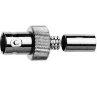 Telegärtner prise de câble BNC 100023410
