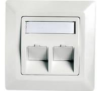 Telegärtner Prise réseau encastré, goulotte insert avec plaque centrale et châssis non équipé 2 ports