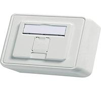 Telegaertner Prise réseau encastrée non revêtue 1 port Blanc alpin