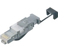 Telegärtner STX Connecteur RJ45 Cat.6 pour AWG 22 - 26 Twisted