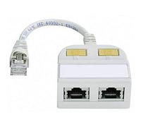 Telegärtner Adaptateur prise 2x RJ vers connecteurs RJ-45 0,15 m
