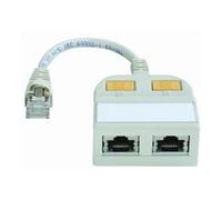 Telegärtner Adaptateur prise 2x RJ vers connecteurs RJ-45 0,15 m