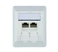 Telegärtner Prise réseau en saillie 100023002 CAT 6a 2 ports blanc-alpin