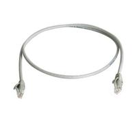 Telegärtner Telegärtner Câble de raccordement Cat5 1,0 m gris U/UTP PVC Quantité:1
