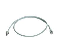 Telegärtner Telegärtner Câble de raccordement S/FTP 6A gris 0,25 m 100008028 Quantité:1