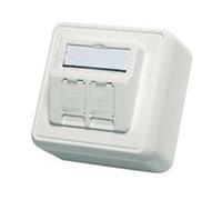 Telegärtner Telegärtner Module d'encastrement en saillie 80x80 2 fois vide aws 100021382 Quantité:1