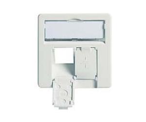 Telegärtner Telegärtner Plaque centrale complète 50x50 avec support pour AMJ45 8/8UP/0 100020622 Quantité:1