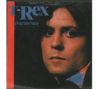 Telegram Sam - 80s Picture sleeve