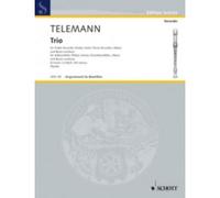 Telemann - Trio D-moll