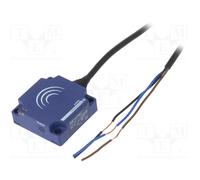 TELEMECANIQUE SENSORS XS8C1A1PAL2 Capteur
