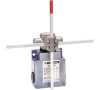 Telemecanique XCKMR54D1H29 XCKMR54D1H29 Interrupteur de fin de course IP66 1 pc(s)