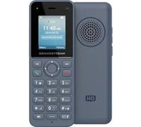 Grandstream WP826 Téléphone IP Wi-FI sans Fil avec Wi-FI 6 802.11a/b/g/n/AC/AX intégré et 12 Heures de Temps de Conversation.