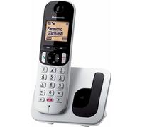 Téléphone Panasonic KX-TGC250 Gris sans fil