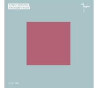 Teleport Collective - A Monolith'S Dream