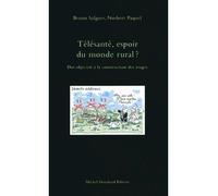 Télésanté, espoir du monde rural ? Des objectifs à la construction des usages - Bruno Salgues - Houdiard Michel Eds - broché - Essai