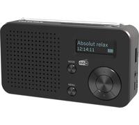 TELESTAR Top 100 - Radio Portable Dab+/FM avec Batterie Rechargeable - Noir