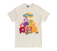 Teletubbies - T-shirt motif/style groupe - Adulte (TT702)