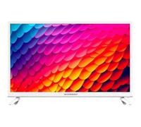 Schneider téléviseur 60 cm hd - gms24n100w