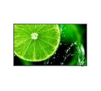 Télévision LCD - NEC - E558 - 55 pouces - Noir - Garantie 2 ans