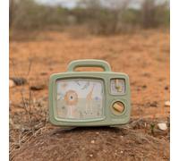 Télévision musicale safari friends