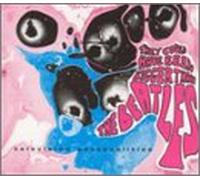 Television Personalities - They Could Have Been Bigger Th