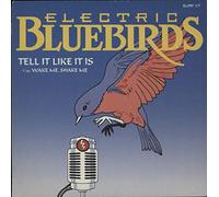 TELL IT LIKE IT IS 7" (45) UK MAKING WAVES 1986 B/W WAKE ME SHAKE ME (SURF117) PIC SLEEVE