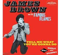 Tell Me What You're Gonna Do - Shout & Shimmy
