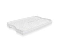 Tellier Louis N3042-P Plateau pour Déshydrateur N3042