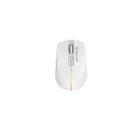 TELLUR Souris sans Fil avec clic Silencieux, Rechargeable, Nano-récepteur USB 2,4 GHz, Souris sans Fil avec clic Silencieux, 1600 DPI, Bande Lumineuse RVB, Design Fin et léger à Transporter (Blanc)