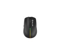TELLUR Souris sans Fil avec clic Silencieux, Rechargeable, Nano-récepteur USB 2,4 GHz, Souris sans Fil avec clic Silencieux, 1600 DPI, Bande Lumineuse RVB, Design Fin et léger à Transporter (Noir)