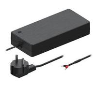 Teltonika - Alimentation électrique - 2 broches - CA 100-240 V - 250 Watt - Europe - pour Teltonika TSW200 G