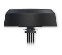 Teltonika - Antenne - cellulaire - 4.7 dBi - omni-directionnel - montage par vis, montrable sur toit - pour Teltonika RUTC50, RUTM50, RUTM51, RUTX50, TRB500, TRM500 G