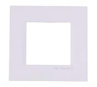 TEM Plaque Line pour prises avec interrupteur 2 M Blanc