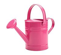 Temeemeg Arrosoir pour Enfants, Petites Plantes de Jardin en métal, équipement de Pot d'arrosage pour Fleurs d'intérieur, 1, 5 l..