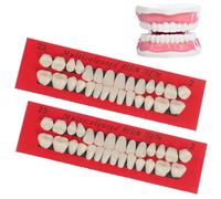 Temeemeg Kit de réparation de Dents, 2 Ensembles 56 Dents en résine pour Utilisation temporaire, Fausses faciles à Clipser, Comprenant des, Un Tigre et des incisives pour l'enseignement l.