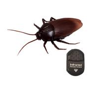 Temeemeg Simulation de cafard électrique pour Enfants, Jouet télécommandé, Portable, Infrarouge RC, modèle en Plastique, Accessoires pour Tours ou friandises d'halloween, Fournitures de fête.