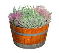 Temesso Demi tonneau de vin en Bois Naturel de chêne avec Effet huilé (sans Extras)