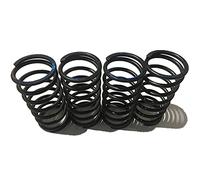 Temhyu Shuxiang-Ressorts 2 pièces, 4x40x (30-120) mm Ressort de Pression, diamètre de Fil de 4 mm, diamètre extérieur de 40 mm, (30-120) Longueur mm, 6 5MN Ressort de Compression (Size : 4x40x80mm)