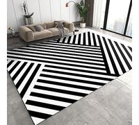 TEMLAN Tapis Salon Rayé Noir Blanc Diagonale Tapis Courts Poils Lignes Inclinées Zigzag pour Chambre, Couloirs, Tapis ExtRieur 90 x 120 cm