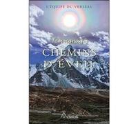 Témoignages - Chemins d'Eveil L'Equipe Du Verseau (Auteur)